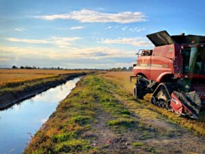 Trebbie | Azienda Agricola Grangia 