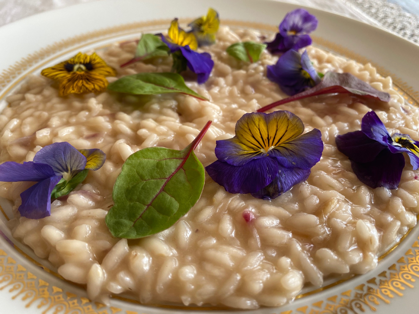 Risotto Cipolla Rossa Parmigiano